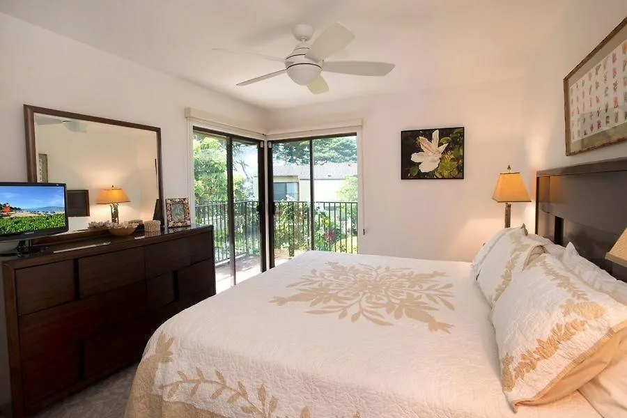 Apartment Wailea Elua, #0908 Condo